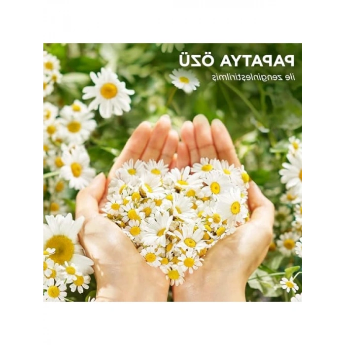Papatya Özlü Durulanmayan Saç Kremi 145ml