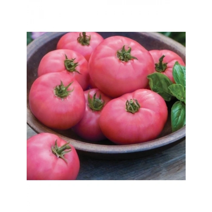 Pembe Domates Tohumu - Çoklu Seçenek - 100 Adet