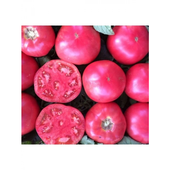 Pembe Domates Tohumu - Çoklu Seçenek - 100 Adet