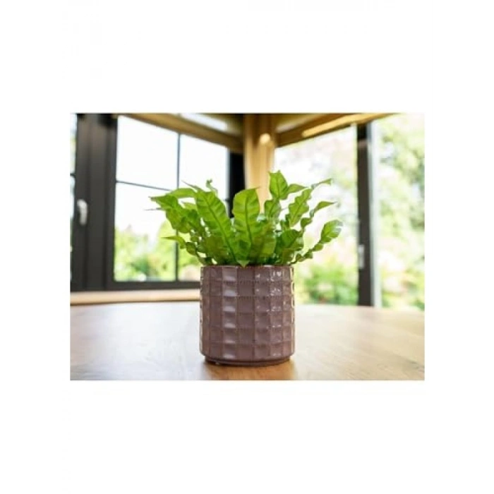 Pembe Renkli Seramik Saksı 14x13 cm