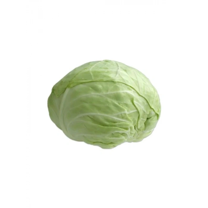 Profesyonel Beyaz Lahana Tohumu - 5 Gram