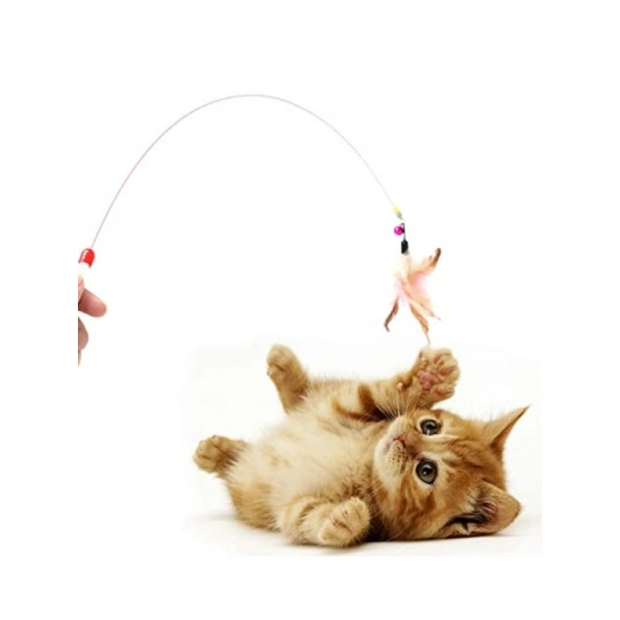 Renkli Tüylü Kedi Oltası - Eğlenceli Oyun Aracı