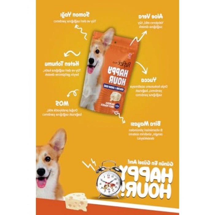 Sağlıklı Parlak Tüyler İçin Ödül Maması - 60 Gr