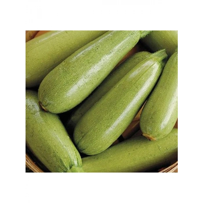 Sakız Kabak Tohumu - 10 Gram