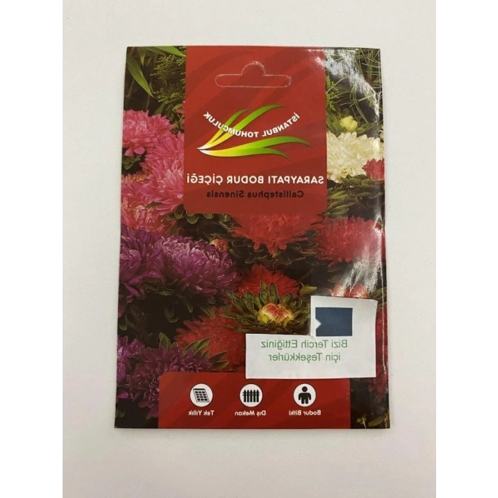 Saraypati Bodur Çiçeği - 125 Tohum (Karışık Renk)