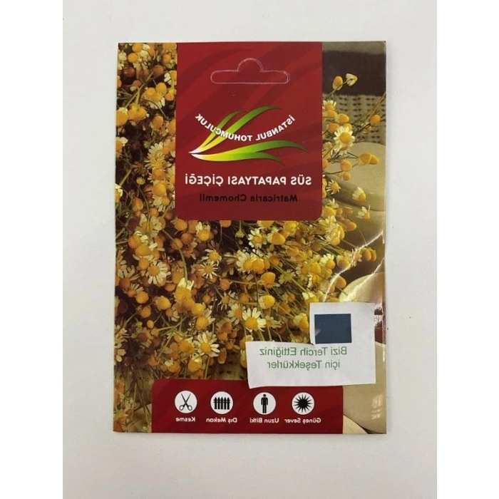 Sarı Renkli Papatya Tohum Seti - 200 Adet