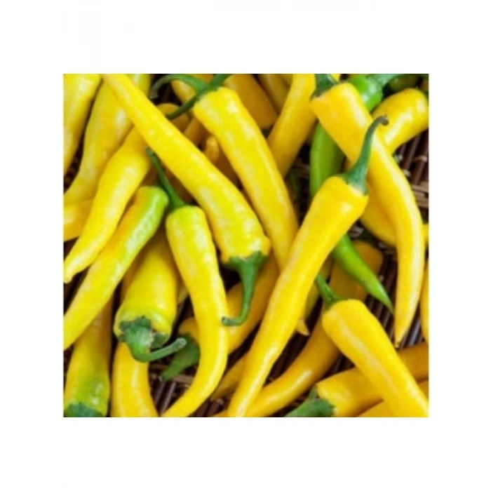 Sarı Süs Biber Tohumu - 3 Gram