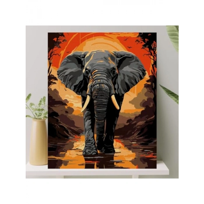 Sayılarla Boyama Tuval Seti - 40x50 cm Fil Temalı