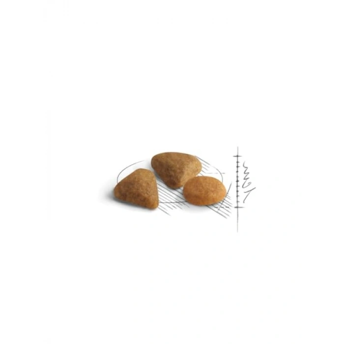Seçici Kedi Maması - Tavuk İlaveli, 400 Gr