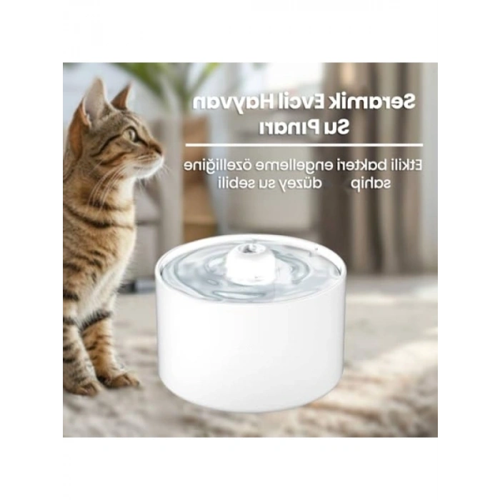 Seramik Otomatik Kedi Su Sebili, Ultra Sessiz, 2Lt Kapasiteli