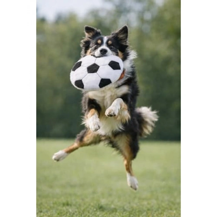 Sesli Frisbi Tipi Köpek Oyuncağı, Diş Dostu Malzeme