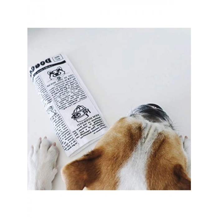 Sesli Hışırtılı Köpek Oyuncağı - Eğlenceli ve Dayanıklı