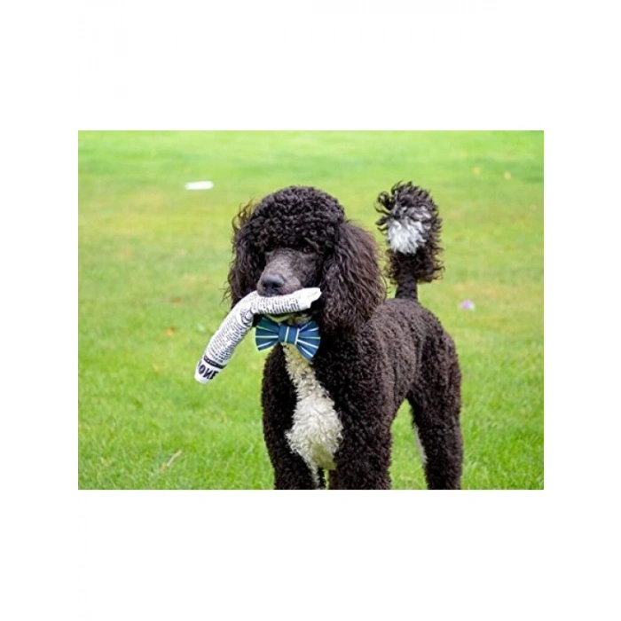 Sesli Hışırtılı Köpek Oyuncağı - Eğlenceli ve Dayanıklı
