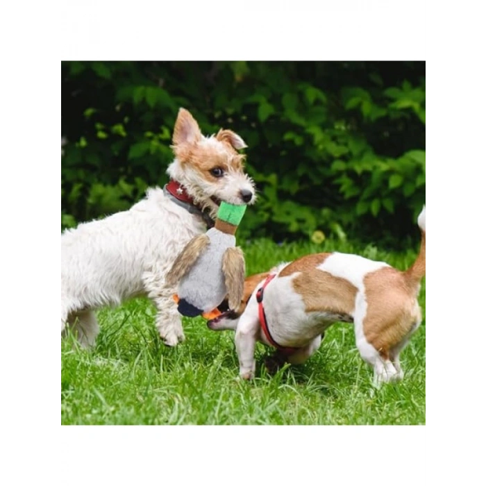 Sesli Yumuşak Peluş Ördek Oyuncağı - Köpekler İçin