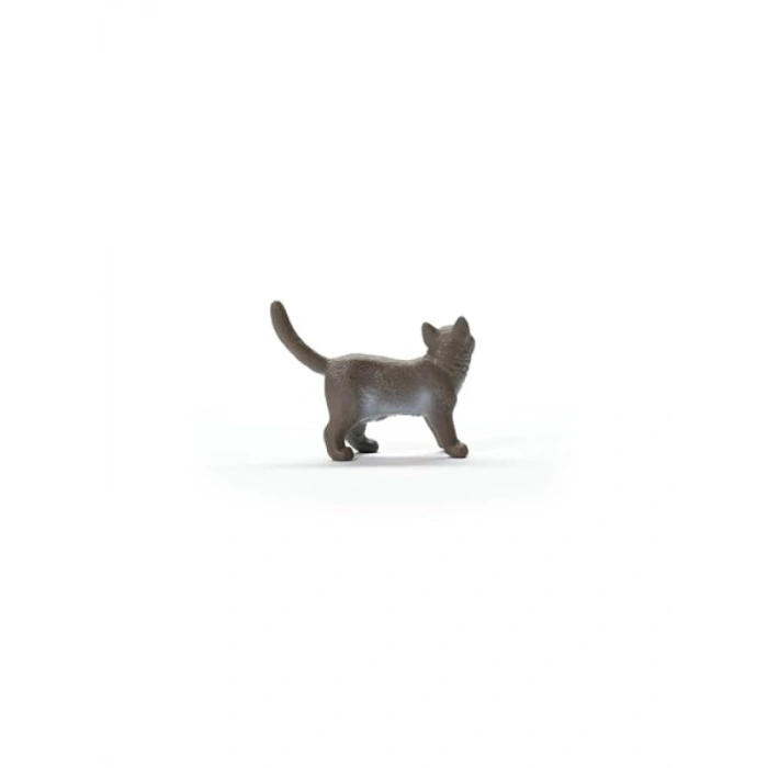 Sevimli British Shorthair Kedi Oyuncak Figür