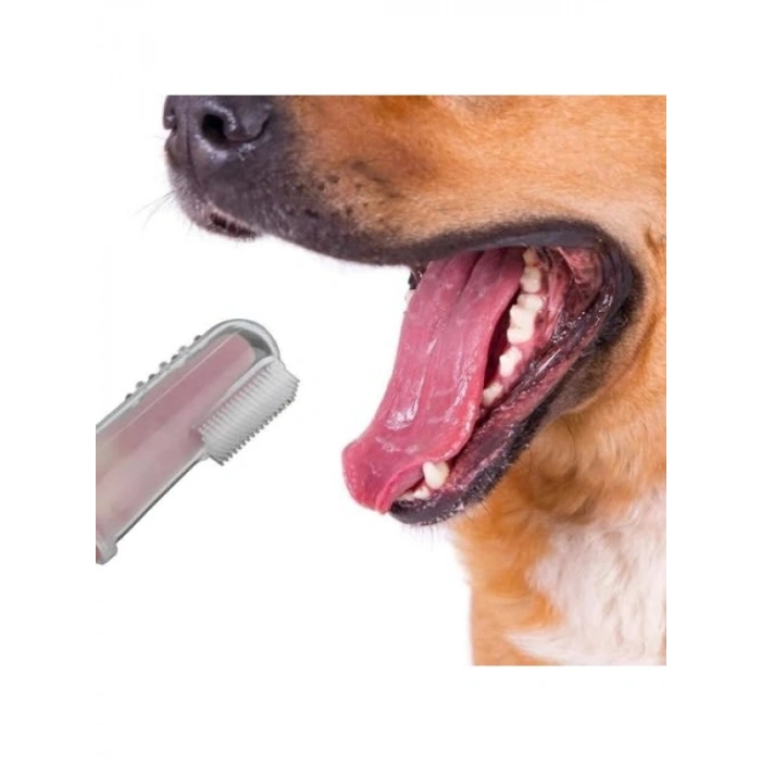 Silikon Kedi ve Köpek Diş Fırçası - Kolay Kullanımlı