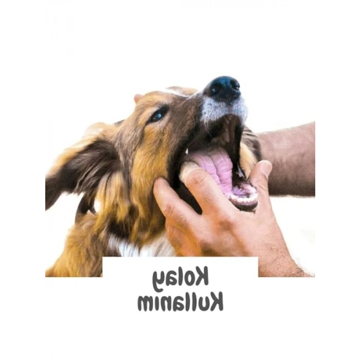 Silikon Kedi ve Köpek Diş Fırçası - Kolay Kullanımlı