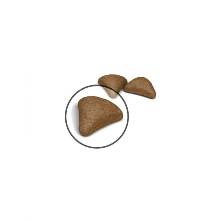 Sindirim Destekli Kedi Maması, 2 Kg