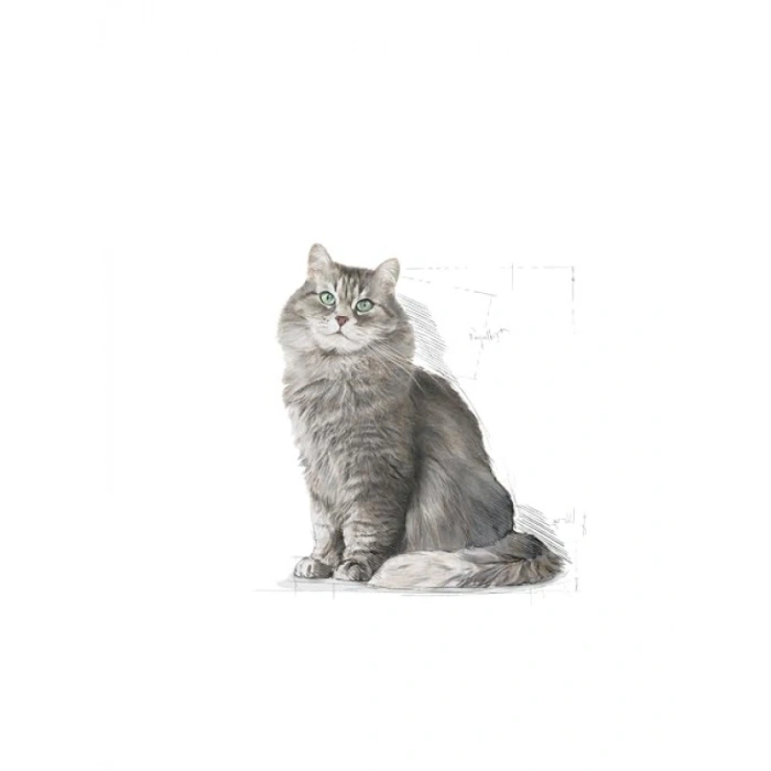 Sindirim Sağlığı Destekleyen 15 Kg Kedi Maması
