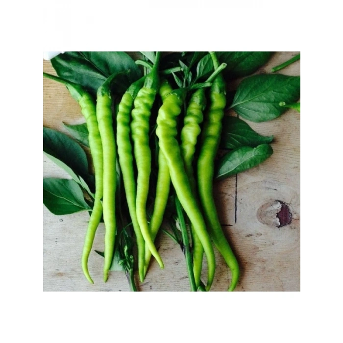 Sivri Tatlı Biber Çorbacı Tohumu - Çoklu Kullanım - 5 Gram