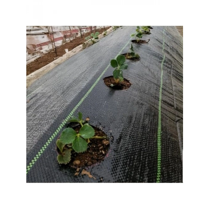 Siyah Renk Jüt Taban Yabani Ot Engelleme Örtüsü - 1 M x 3 M