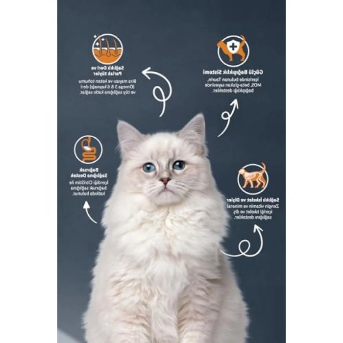 Somonlu ve Hamsili Yetişkin Kedi Maması 2 Kg