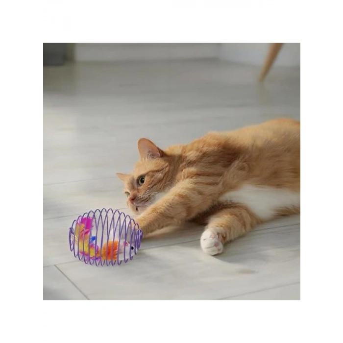Spiral Tel Top & Peluş Fareli Kedi Oyuncağı - Zıplayan Eğlence