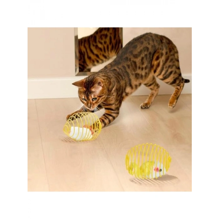 Spiral Tel Top & Peluş Fareli Kedi Oyuncağı - Zıplayan Eğlence