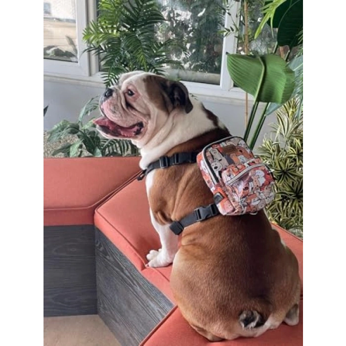 Su Geçirmez Çok Cepli Köpek Sırt Çantası - Ayarlanabilir Kayışlar