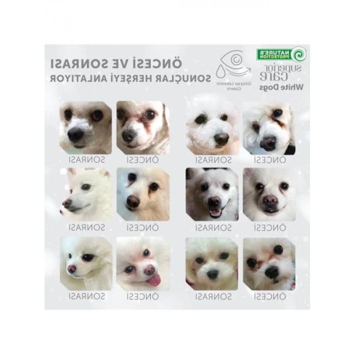 Tahılsız Beyaz Balıklı Köpek Maması - 4kg