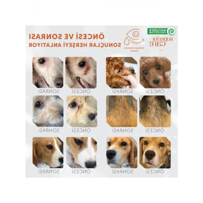 Tahılsız Kuzu Etli Küçük Irk Köpek Maması, 1,5 Kg