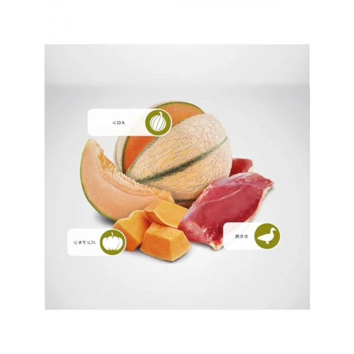 Tahılsız Ördek & Kavun Kedi Maması - 1.5 kg