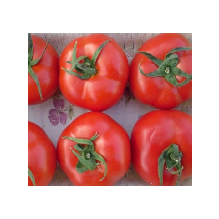 Tane Salkım Domates Tohumu - 2274-3 Gram
