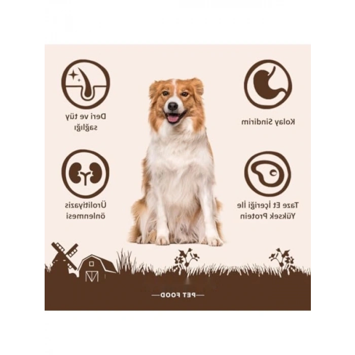 Tavuk Etli Köpek Yaş Maması - 85 Gr x 24 Adet