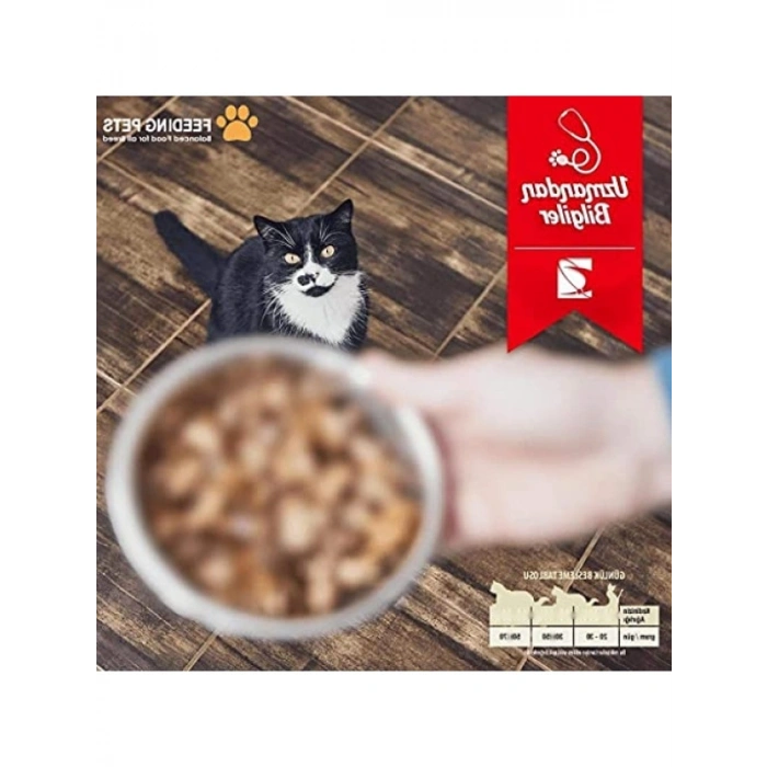 Tavuk ve Balık Aromalı Renkli Taneli Kedi Maması, 1 kg