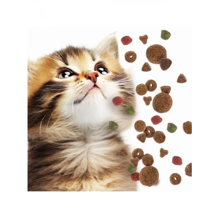 Tavuklu Anne ve Yavru Kedi Maması, 2 kg