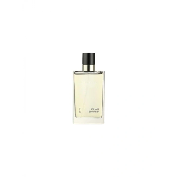 Taze Baharat ve Okyanus Esintili Erkek Parfüm - 50ml