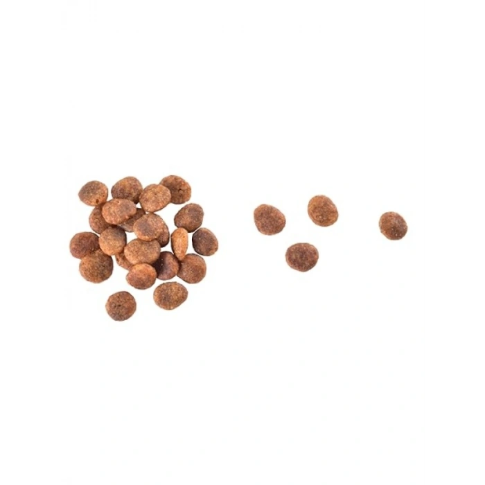 Taze Hindi Etli ve Somonlu Kuru Mama 2 kg - Hassas Kediler İçin