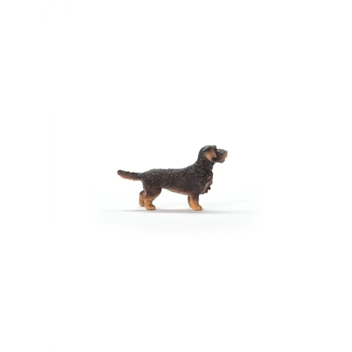 Tel Tüylü Dachshund Oyuncak Figürü, Aktif Köpek Modeli