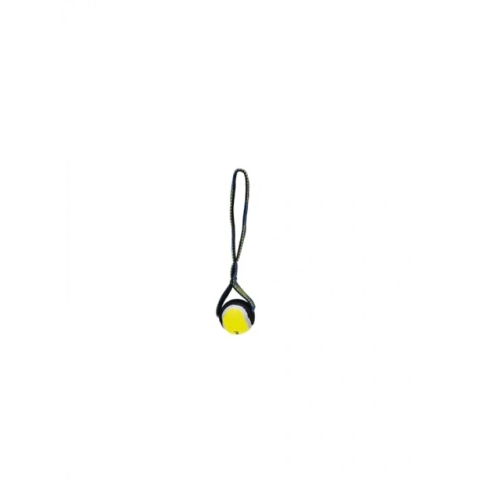 Tenis Topu Tasarımlı Yüzen Köpek Oyuncağı, Mavi/Sarı, 25,5x6,3x6,3 cm