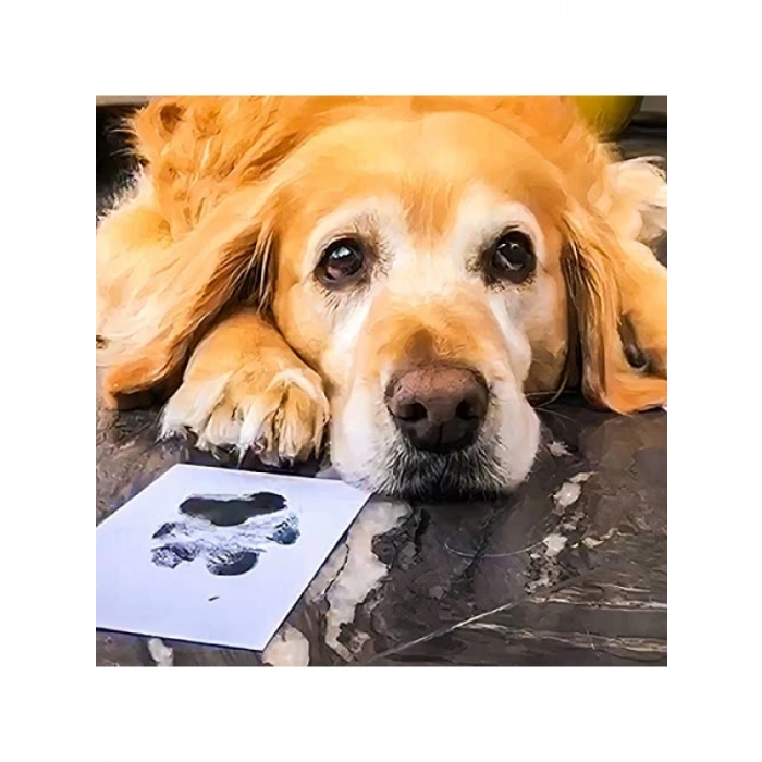 Toksik Olmayan Mürekkepsiz Pati İzi Seti, Kedi ve Köpekler İçin