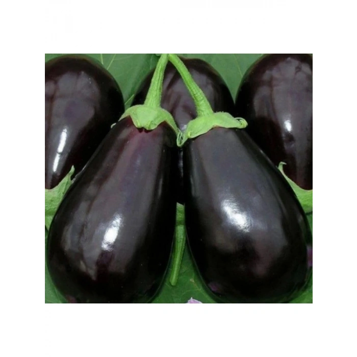 Topan Patlıcan Tohumu - 5 Gram