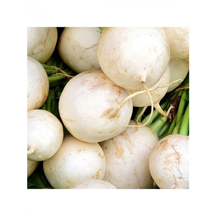 Turp Beyaz Kız Tohumu - 10 Gram