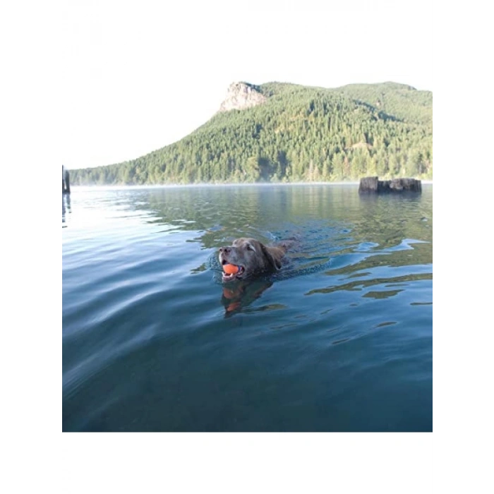 Ultra Zıplayan Köpek Oyuncak Topu (XL Boy)