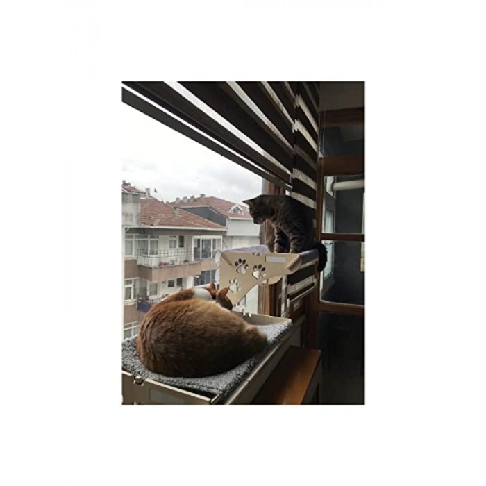 Vantuzlu Ahşap Cama Yapışan Kedi Yatağı - 10 Kg Taşıma Kapasitesi