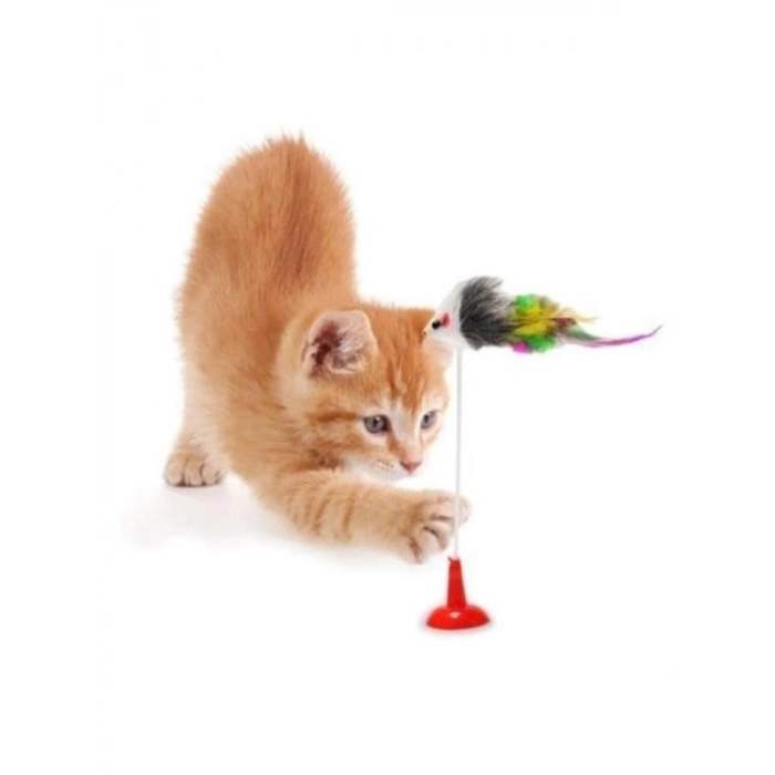 Vantuzlu Hareketli Çanlı Eğlenceli Peluş Kedi Oyuncağı, 2li Paket