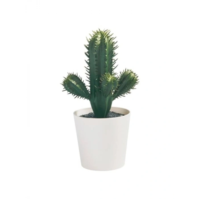 Yapay Kaktüs Bitkisi, 6 cm, İç/Dış Mekan Kullanımı