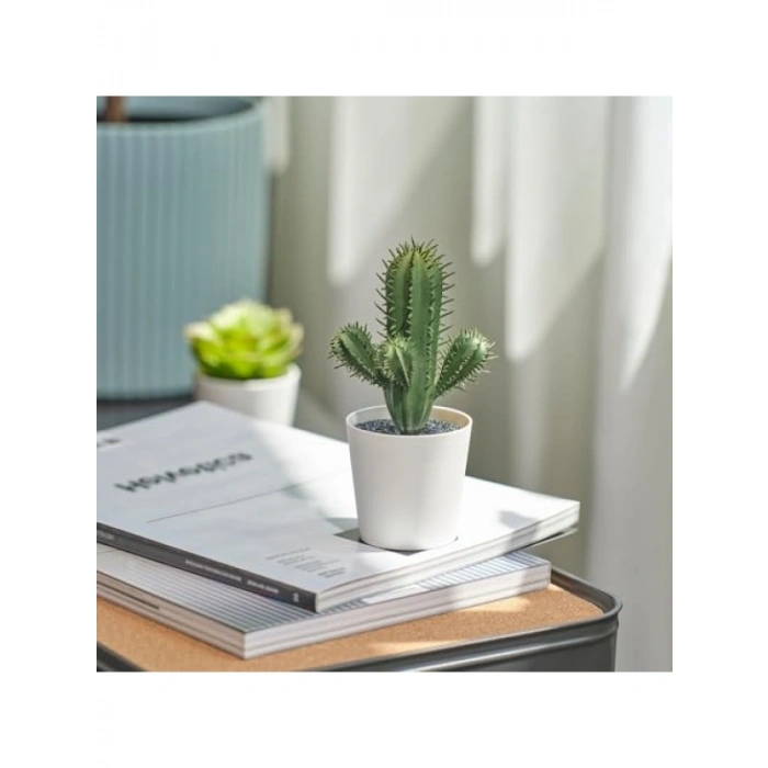 Yapay Kaktüs Bitkisi, 6 cm, İç/Dış Mekan Kullanımı