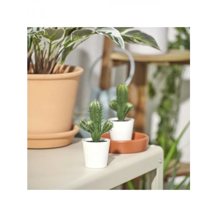 Yapay Kaktüs Bitkisi, 6 cm, İç/Dış Mekan Kullanımı