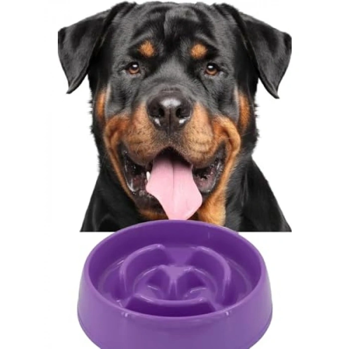 Yavaş Mama Kabı - Kedi ve Köpekler İçin - 375 ml